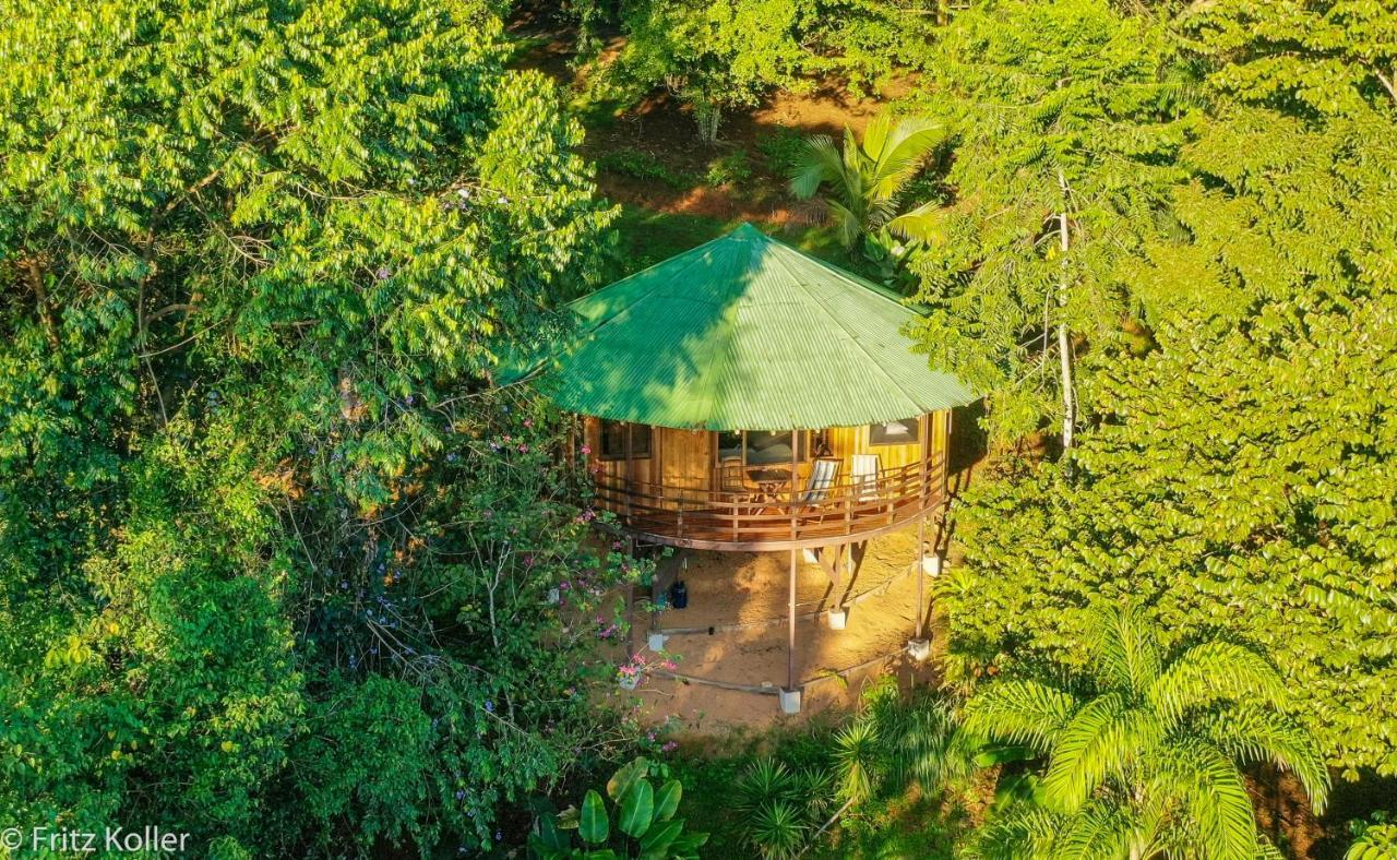Paradiselodge Jungleguesthouse Platanillo Exterior foto