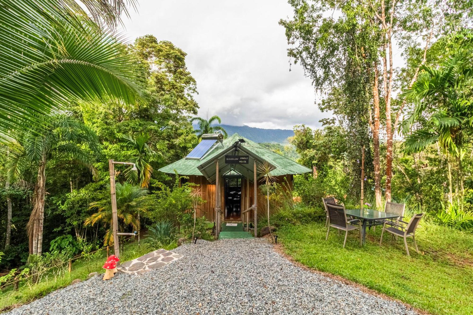 Paradiselodge Jungleguesthouse Platanillo Exterior foto