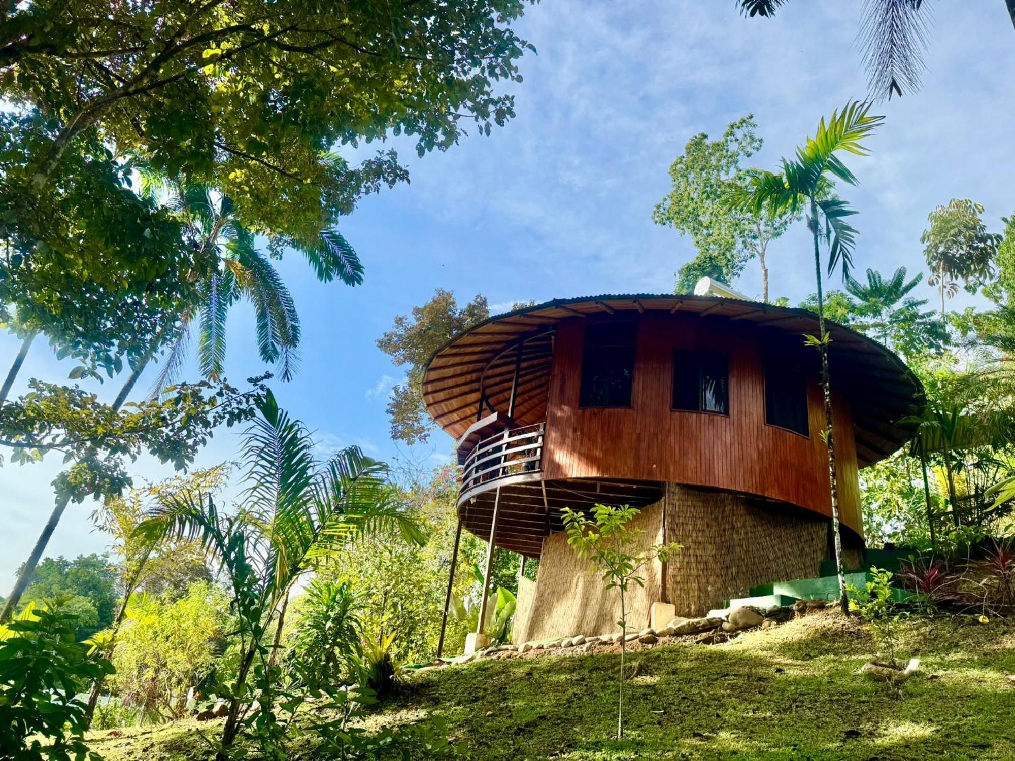 Paradiselodge Jungleguesthouse Platanillo Exterior foto